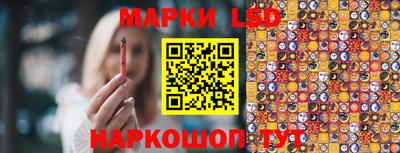 a pvp Можга