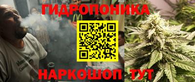 a pvp Можга