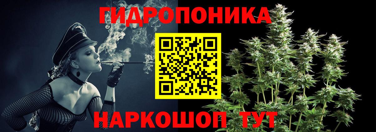 Бошки марихуана конопля Елизово